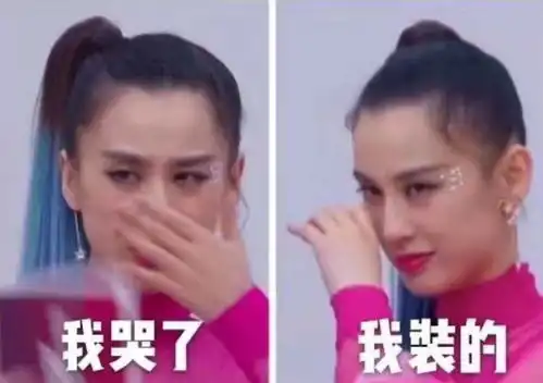 猫那么高冷,我才不养结果知乎
