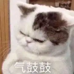 表情包小狗勾坏心眼多着呢

