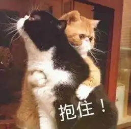 抱抱的表情包我真的不胖,不信你抱抱我
