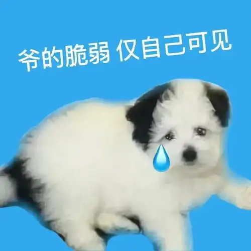 表情包请你喝奶茶
