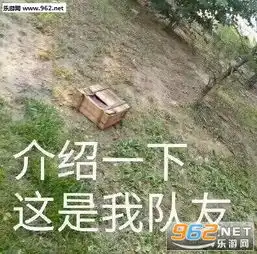你是什么品种怎么这么凶猪表情包我是一个没有感情的杀手猫表情包图片下载乐游网游戏下载
