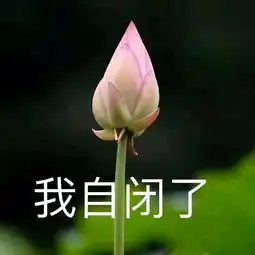确认过眼神,家里有矿的锦鲤和佛系的大猪蹄子官宣啦skr
