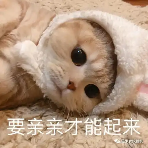 头像表情包大户,全网萌宠顶流,每天都有百万明星粉丝催更
