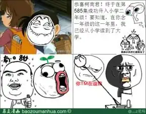 求暴走图片压缩包,不要表情包的,越多越好