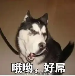 老婆找人收集老公出轨证据,侦探发来一个带密码的文件夹,结果里面竟然
