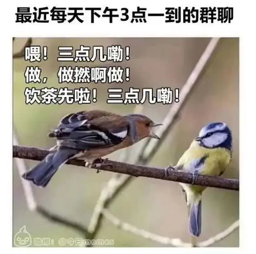 三点劝饮茶七点劝饮酒,有个老外比你更心疼你
