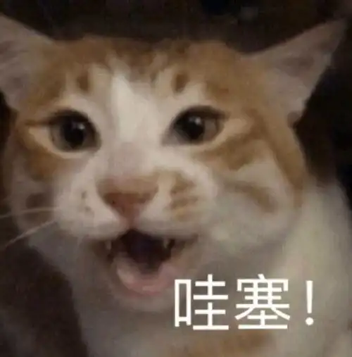 可爱小动物表情包合集29
