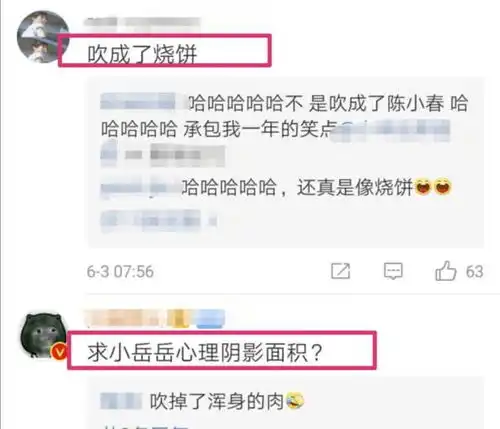 岳云鹏坐过山车被吓出一组表情包,网友调侃小岳岳被风吹成烧饼
