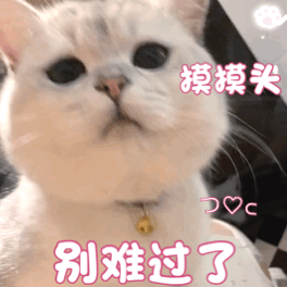 可爱沙雕表情包宝贝,来不及解释了,快上车
