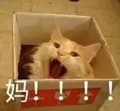 还有8天,2017就要过完了
