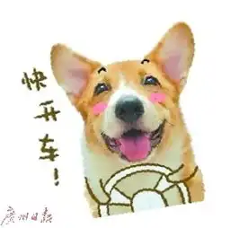 表情包背后的江湖赚打赏为玩票开创事业
