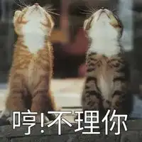 不想理你表情包可爱
