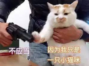 我只是想给它洗个澡,不曾想竟害死了它
