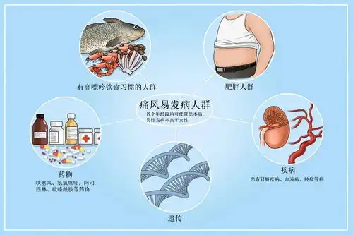 衡水新闻网
