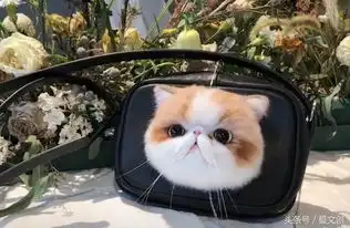 难以置信,抖音上的这些超可爱的猫咪竟然是假的
