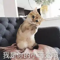 慎点让铲屎官崩溃的车祸现场,一个比一个惨....心疼

