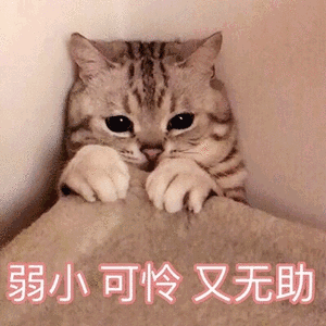 华人快自查家中有这种斑点千万别忽视澳女因此全身疱症患抑郁症,工作也丢了
