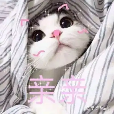 如何增强记忆,为什么你背完总会遗忘
