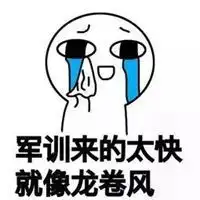 关于军训的表情包微信头像图片大全
