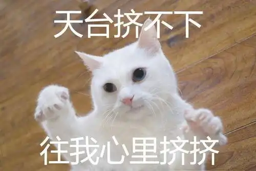宠物表情包出处土味情话