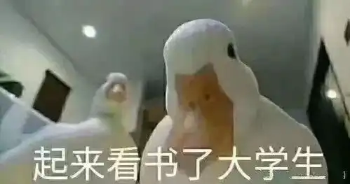 大学生暑假十大必做出炉,赶紧过来围观
