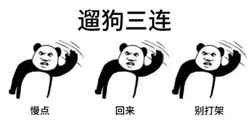 宠物圈3连表情包,总有一个你会右键保存搜狐宠物搜狐网