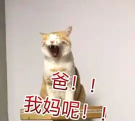 放暑假的你表情包全套无水印放暑假的你表情包高清完整版下载
