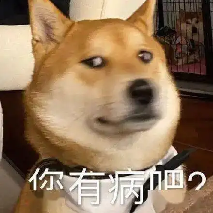 你的确是个废物
