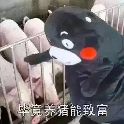 你有哪些压箱底的表情包
