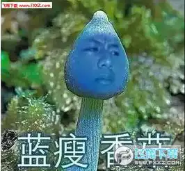 蓝瘦香菇视频本人直播间蓝瘦香菇男主角直播app下载飞翔下载