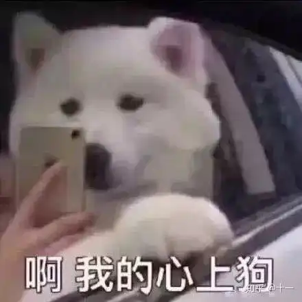 请用最短的文字叙述你的恋爱经过
