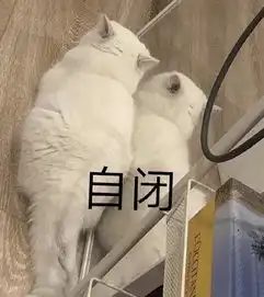评分暴跌网友疯狂吐槽这部剧到底哪里出了问题
