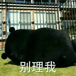 如果你们每个人给我一张表情包
