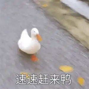 停电的图片表情包鸭子