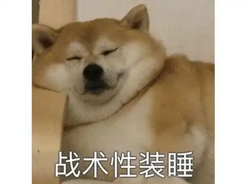 中德玩家大决战来自澳大利亚的硬核游戏,2次被中国玩家带火
