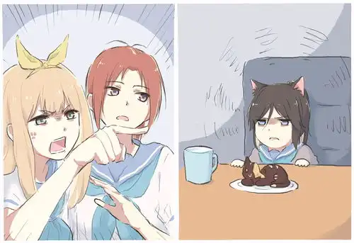 哔哩哔哩专栏
