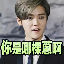 鹿晗表情包,拿走不谢