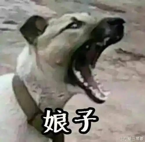 组里有没有考人力资源管理师三级的呀考完了
