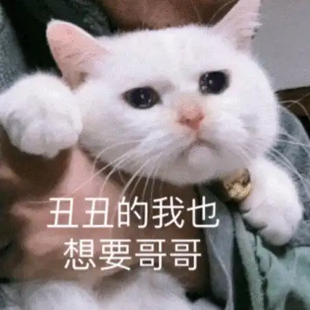 表情包丑丑的我也想要哥哥
