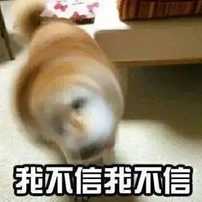 我等的狗,ta在多远的未来

