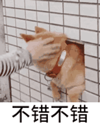 最全微信柴犬表情包大全合集,搞笑斗图贱表情包
