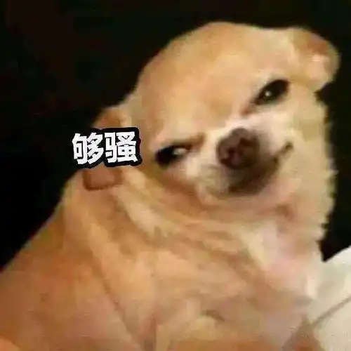 第46期汪表情我上辈子是造了什么孽,遇上你这个沙雕
