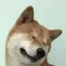 搞笑怼人必备表情包
