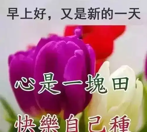 人生无常,心安便是归处早安那一段
