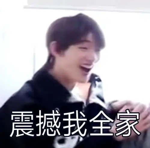 时代少年团丁程鑫表情包
