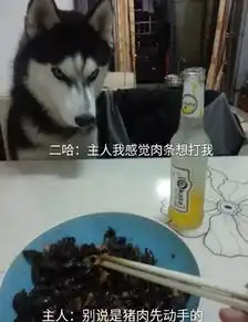 论不要脸我只服哈士奇......
