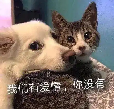 沙雕表情包我看透了你这个渣男
