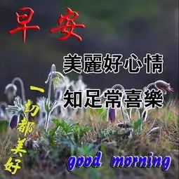 早上好祝福语和图片适合群发的早上好表情简单句子2019
