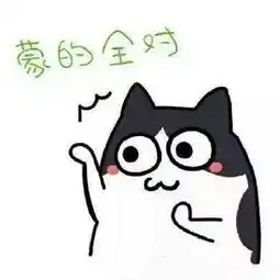 对于艺术生来说,文化课专业课
