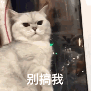 微信沙雕搞笑表情包别搞我呀
